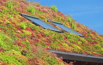 Berwick St Leonard living roof systems