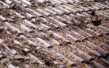 Berwick St Leonard roof cleaning companies