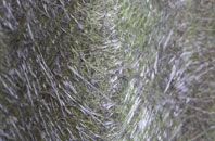 Berwick St Leonard fibreglass roof work